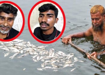 ফতুল্লায় মৎস্য খামারে বিষপ্রয়োগের অভিযোগে বাবা-ছেলে গ্রেপ্তার