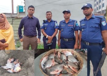 সোনারগাঁয়ে ভ্রাম্যমান আদালতের অভিযানে নিষিদ্ধ পিরানহা মাছ জব্দ