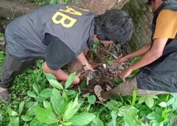 ফতুল্লায় পরিত্যক্ত কারখানা থেকে বিদেশি রিভলবার ও গুলি উদ্ধার