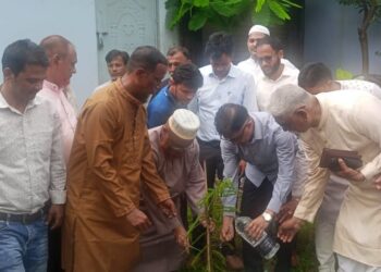 শুধু গাছ লাগালেই হবে না, এগুলোর পরিচর্যারও দায়িত্বও নিতে হবে – মামুন মাহমুদ