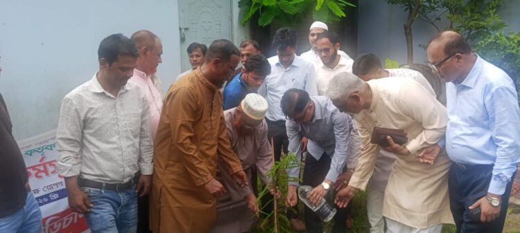 শুধু গাছ লাগালেই হবে না, এগুলোর পরিচর্যারও দায়িত্বও নিতে হবে – মামুন মাহমুদ