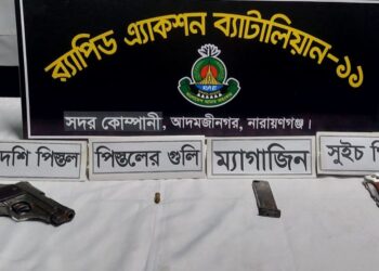 সিদ্ধিরগঞ্জে ঝোপ থেকে বিদেশি পিস্তল-গুলি উদ্ধার