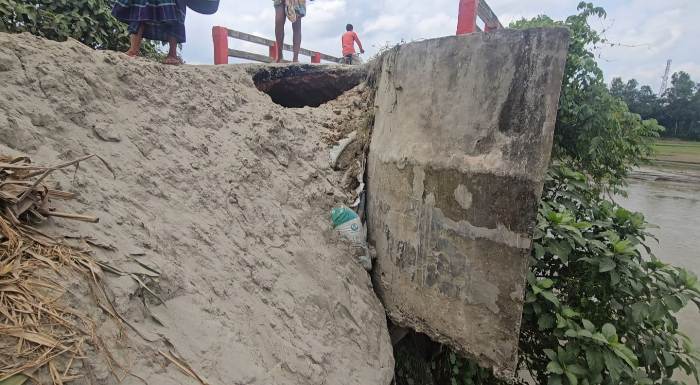 দশানী নদীর ভাঙনে হুমকির মূখে সাজেলের চর বাজার ও ব্রীজ