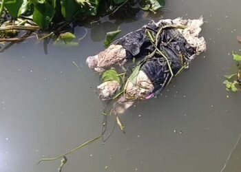 সিদ্ধিরগঞ্জে শীতলক্ষ্যা নদীতে ভাসছে অজ্ঞাত ব্যক্তির মরদেহ