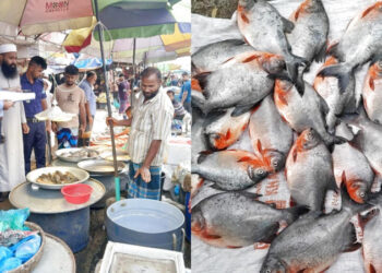 ফতুল্লার ভূঁইগড় বাজারে ২৫ কেজি নিষিদ্ধ পিরানহা জব্দ, বিক্রেতাকে জরিমানা