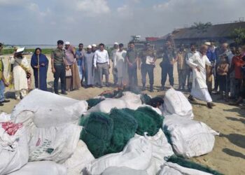 সোনারগাঁয়ে চায়না দুয়ারি জাল জব্দ, জরিমানা