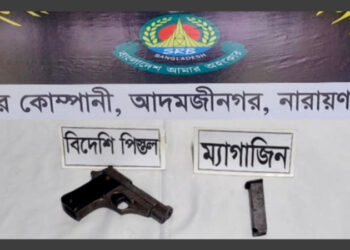 মাসদাইরে ঝোপ থেকে বিদেশি পিস্তল উদ্ধার