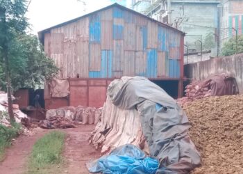 গোগনগরের চরসৈয়দপুরে রিপন হাজ্বীর অবৈধ রং ফ্যাক্টরী! দূষিত হচ্ছে পরিবেশ